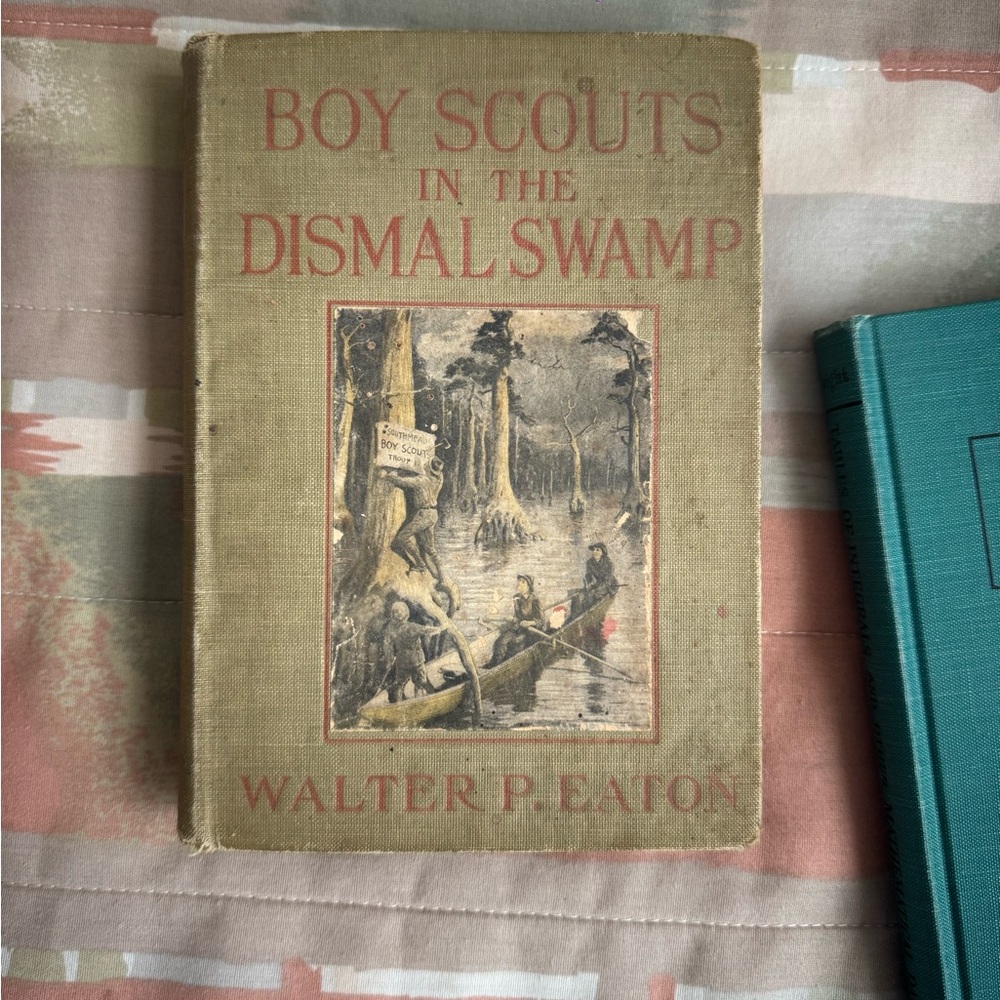 Boy Scouts In The Dismal Swamp Book